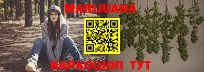 крисы Новозыбков
