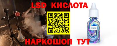 крисы Новозыбков