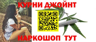 крисы Новозыбков