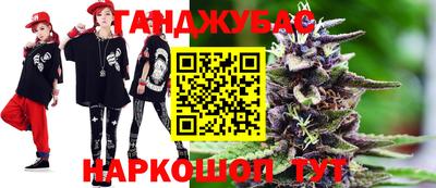 крисы Новозыбков