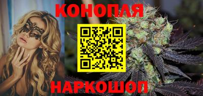 крисы Новозыбков