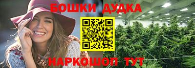 крисы Новозыбков