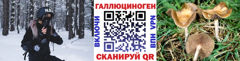 Галлюциногенные грибы Cubensis  Снежинск 