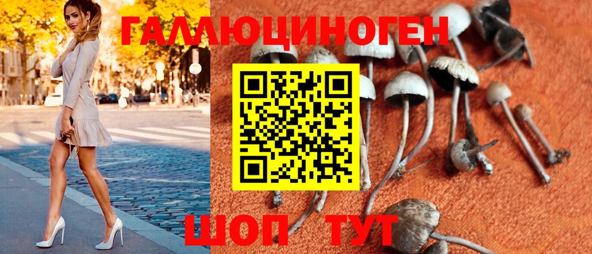 продажа наркотиков  Вход с VPN  Снежинск  Псилоцибиновые грибы Psilocybe 