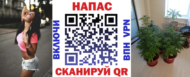 Конопля сатива  hydra рабочий сайт  Снежинск  закладки 